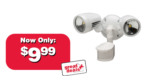 LED Motion Light HZ-8421-WH-G