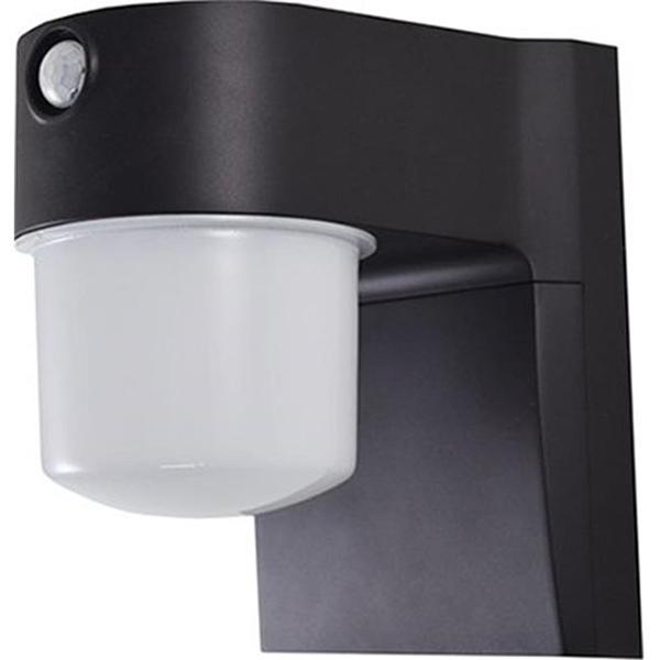 Motion Activated 700 Lumen LED Security Light
