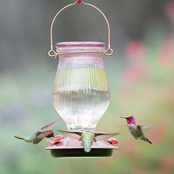 Perky-Pet 9104-2 Hummingbird Feeder Top-Fill 24 oz Nectar 5-Port/Perch