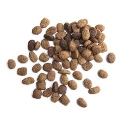 IAMS PROACTIVE HEALTH 10144759 Adult Dog Food Dry Lamb Rice Flavor 26.2