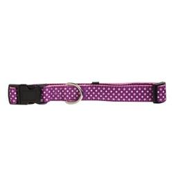 PETMATE 12284 Fashion Dog Collar, Adjustable Link, 10 to 14 in L Collar, 5/8