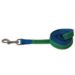 PETMATE 02376 Max Glow Dog Leash, 6 ft L, 3/4 in W, Green, One-Size Breed