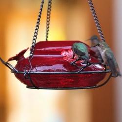Natures Way MHF4 Hummingbird Feeder Modern 18 oz Nectar 3-Port/Perch