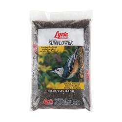 Lyric 2647419 Sunflower Seed Bird Food 5 lb Bag