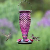 Perky-Pet 9102-2 Hummingbird Feeder Diamond 24 oz Nectar 5-Port/Perch