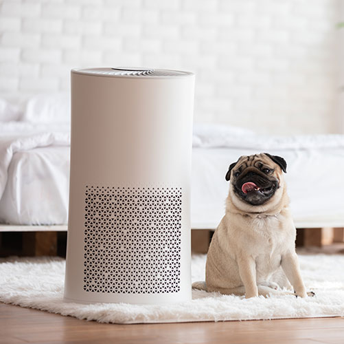 Heating, Cooling & Air Quality