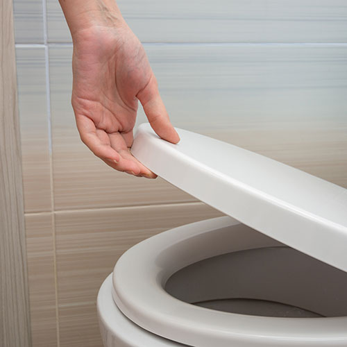 Toilets & Toilet Seats