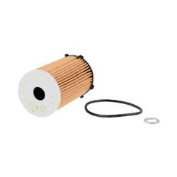 FRAM Extra Guard CH10855 Cartridge Oil Filter Fibers Resin Filter Media