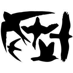 ZINSSER JOMAX 60701 Roof Cleaner and Mildew Stain Remover 1 gal Liquid