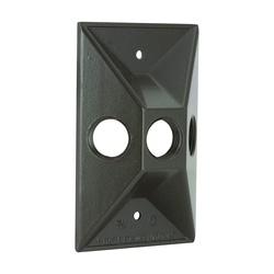 HUBBELL 5189-2 Cluster Cover 4-19/32 in L 2-27/32 in W Rectangular Zinc