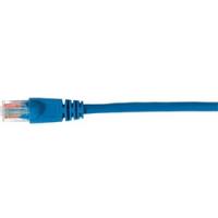 50 ft Blue Cat5 Cable TPH533BR