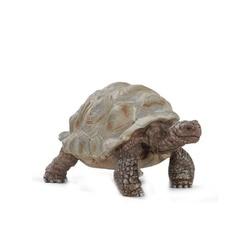 Schleich-S Wild Life 14824 Animal Toy 3 to 8 years Giant Tortoise