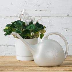 NOVELTY 30602 Watering Can 1/2 gal Can Plastic White Pearlescent
