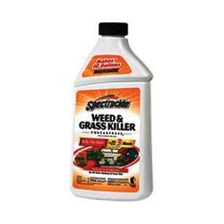 Spectracide HG-66001 Weed and Grass Killer Liquid Amber 16 oz