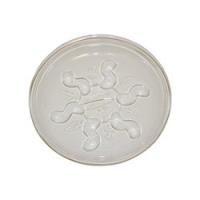 Gardeners Blue Ribbon Saucer Plus SP10 Plant Saucer 10 in Dia Plastic