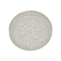 Gardeners Blue Ribbon Saucer Plus SP12 Plant Saucer 12 in Dia Plastic