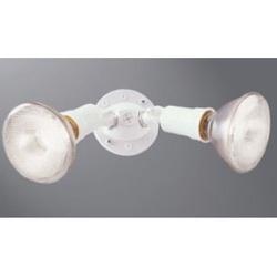 Eaton Lighting PWT250PC PWT250PCW Twin-Head Floodlight 120/130 V 300 W