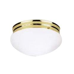 Westinghouse 66609 Flush Mount Light 2-Lamp Polished Brass Fixture