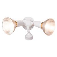 Eaton Lighting MS34 MS34W Security Floodlight 120 VAC 300 W 2-Lamp CFL