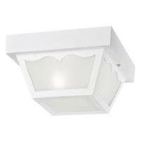 Westinghouse 66975 Porch Light Fixture Incandescent LED Lamp