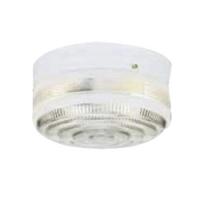 Westinghouse 66203 Flush-Mount Light 2-Lamp White Fixture