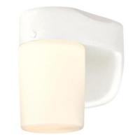 Westinghouse 6106800 Wall Fixture with Dusk-to-Dawn Sensor 120 V 8 W LED