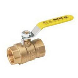B and K ProLine 7690T Series 107-811NL Ball Valve 1/4 in Connection FIP