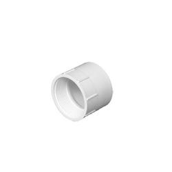 Charlotte Pipe PVC001011000HA Pipe Adapter 2 in Hub x FPT PVC White SCH