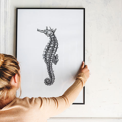 Picture & Mirror Hanging