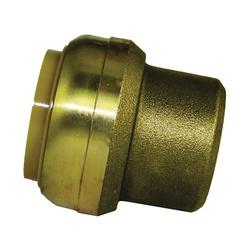 SharkBite U520LFA End Cap 1 in Brass Chrome 200 psi Pressure