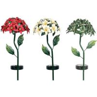 Solar Holly& Pointesettia