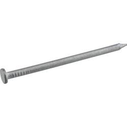 Fas-n-Tite 461473 Nail 20D 4 in L Galvanized Flat Head Smooth Shank 1