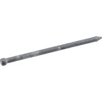 Fas-n-Tite 461640 Finish Nail 10D 3 in L Galvanized Brad Head 1 lb