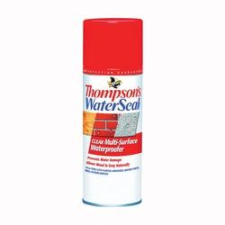 Thompsons WaterSeal TH.10100-18 Waterproofer Clear 12 oz Aerosol Can