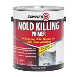 Mold Killing Primer G 276049