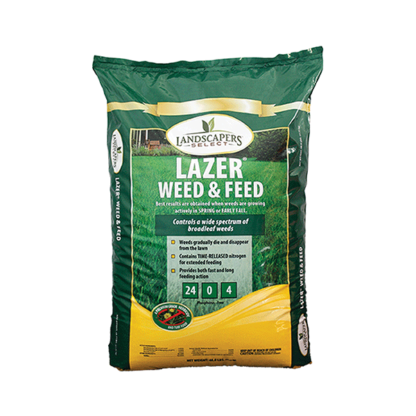 LAWN WEED/FEED LAZER 24-0-4 5M