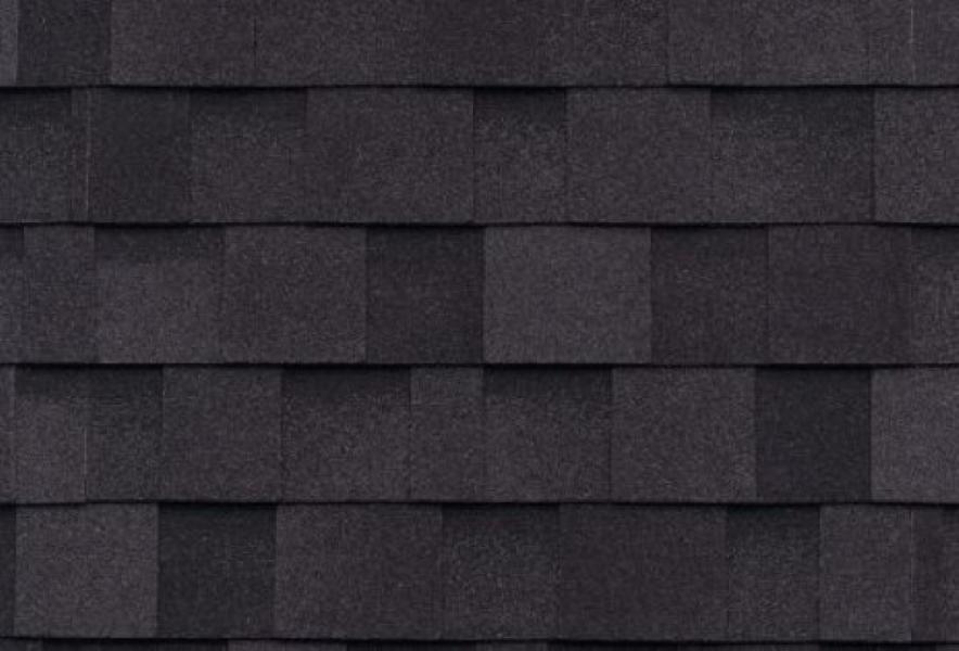 Lifetime Shingles-Duel Black