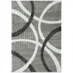 Colby Shag 5x7 Area Rug CLB1009