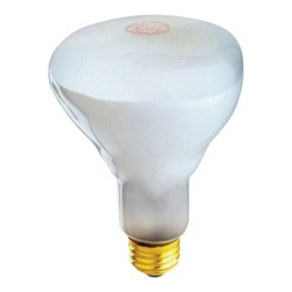 Feit Electric 65BR30/FL/2RP Incandescent Lamp, 65 W, BR30 Lamp, Medium E26