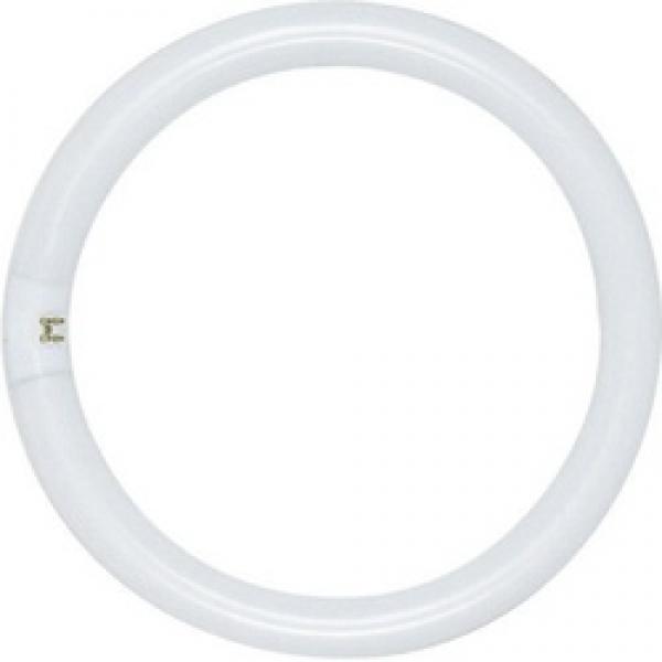 Satco S6503 Fluorescent Bulb, 32 W, T9 Lamp, 4-Pin Lamp Base, 1930 Initial,