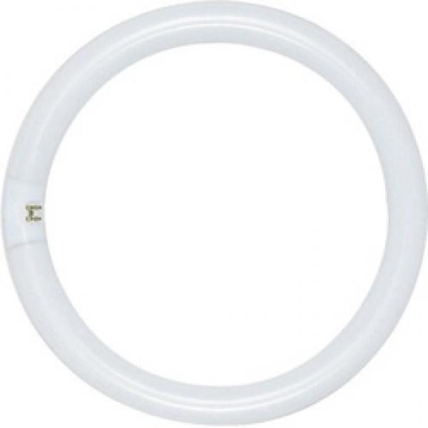 Satco S6504 Fluorescent Bulb, 32 W, T9 Lamp, 4-Pin Lamp Base, 1670 Initial,