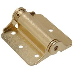 Hardware Essentials 851598 Spring Hinge, Steel, Brass, Surface Mounting