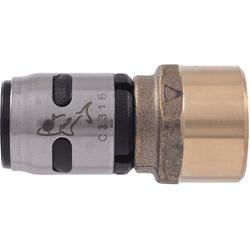 SharkBite EvoPEX K072A Adapter, 1/2 in, Push-Fit x FNPT
