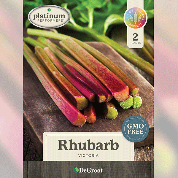 Rhubarb, Victoria