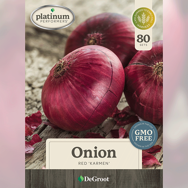 Onion, Red Karmen