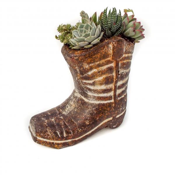 Rustic Boot Succulents